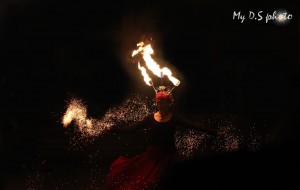 magisk eldshow